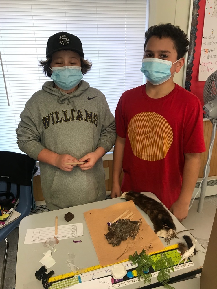 Students build their diorama for the southwest region .