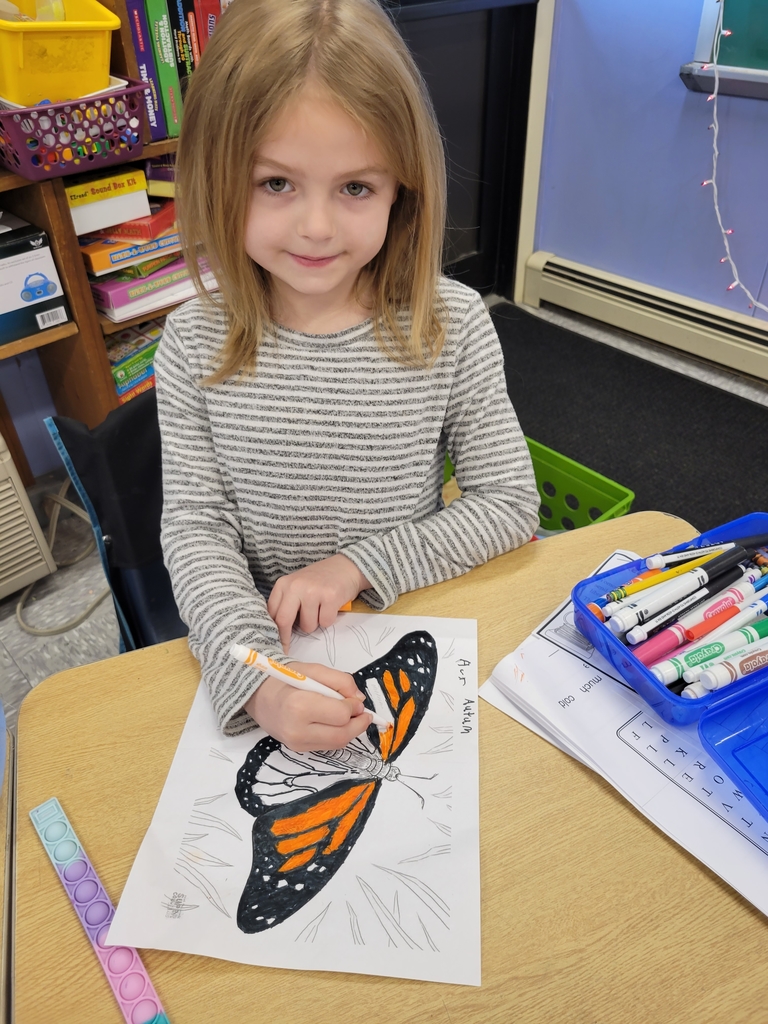 Working on our butterfly portraits.