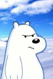 bear