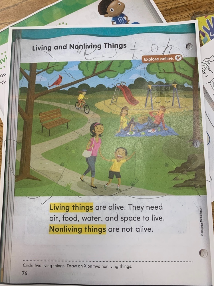 What are living things?