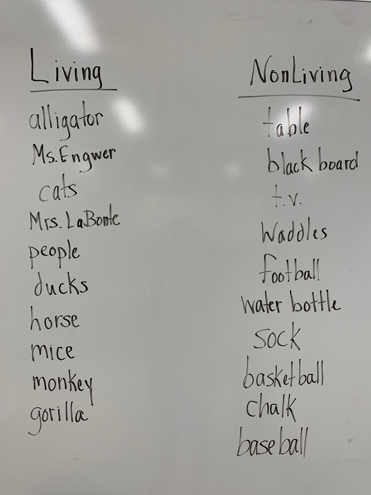 Kiddos examples of living and nonliving! 